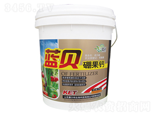 �{(l��n)ؐ����}-������