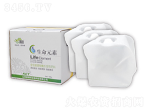 ����Ԫ��-������