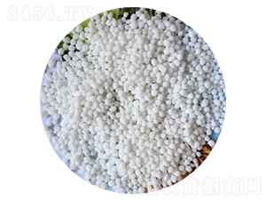 �r(n��ng)�I(y��)�������@�}-�����r(n��ng)�I(y��)