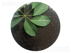 �۠��ЙC����-ϲ��������