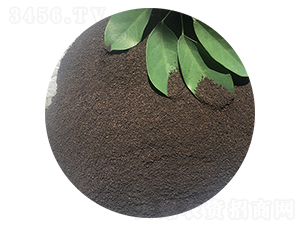 �۠������ЙC(j��)��-ϲ��������