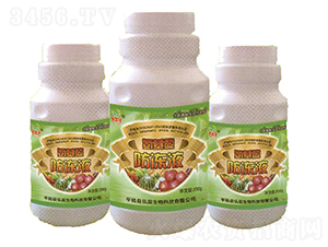 ���������Һ-��������