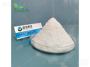 ��ù��A4A7-����˹����