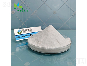 6-����������-����˹����