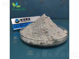 ��������-����˹����