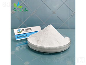 ������Ұ����Ҵ�����DA-6��-����˹����