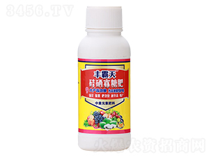 �������Ƿ�-�S����-�����S