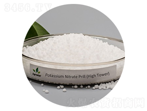 ������w��-��(��i)��˼�_(d��)