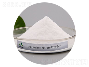 ����⛷�-��(��i)��˼�_(d��)