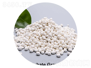 ����⛣����-�۸�˼�_