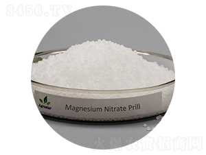 �����V��ĩ���w��-�۸�˼�_