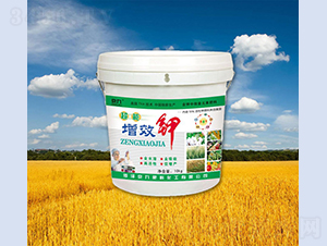 ������Ч�-����