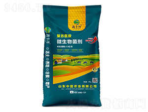 �۹Ȱ���΢�������-���S��-���{�r�I(y��)