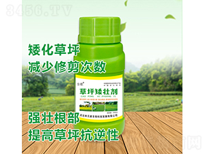 ȫ���ƺ���ф�-��Ԫ��