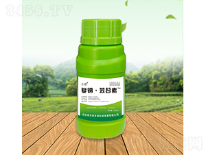 ȫ���(f��)�c���|̦��-��Ԫ��