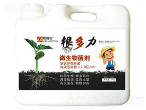 ΢�������-������-���z��