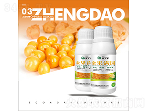 ����M�@-��������