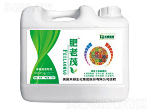 ���������{(di��o)�턩-����ï-�̷f����