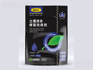 ���������ޏ�(f��)������-�̷f����