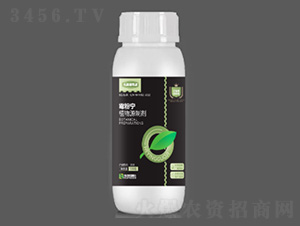 500gù�ی�-�̷f����