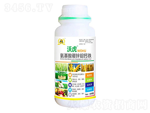 �������\���f�}�Fˮ�ܷ�