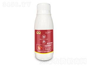 ���ь����~���-��ɫ-