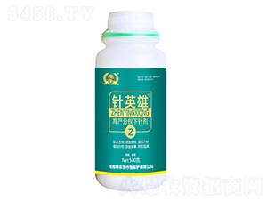 ���������ᘄ�-�Ӣ��-�������r(n��ng)