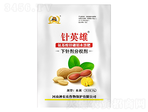 �����ᘄ�-�Ӣ��-�������r(n��ng)