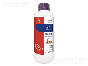 �����n��-���r(n��ng)����