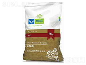 ������-����