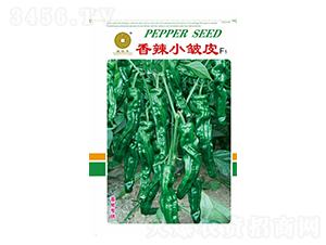 ����С��ƤF1-�����N��-�A��N�I(y��)