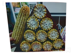 �]��9105-���׷N��-���зN�I(y��)