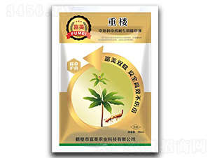 �ؘǂ��ο���ˎ�ĳ��݄�-����