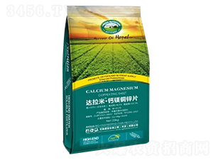 �_���ס��}�V�~�\Ƭ-���W�