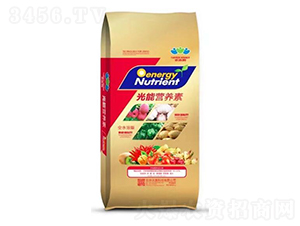 ���ܠI(y��ng)�B(y��ng)��-�r(n��ng)�A