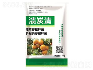 ��̿��-�������