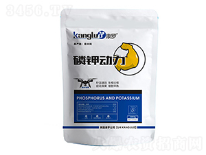 ��⛄���-���_