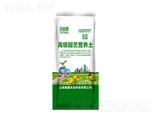 �߼��@ˇ�I�B(y��ng)��-���ɵ�-�ڵ��r(n��ng)�I(y��)