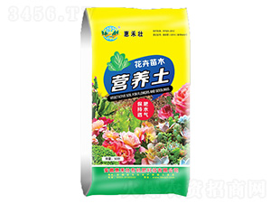 ������ľ�I�B(y��ng)��-�ݺ̉�����