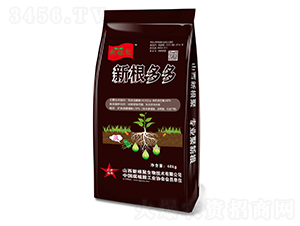 �¸����-�¸���