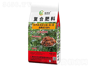 �˽Ƿ�16-6-8-�ѷ�Ԫ