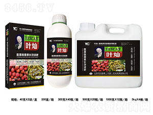 �~�N��֦���ی��ø߶��~���-�»����