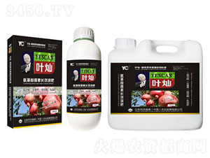 �~�Nʯ���ø߶��~���-�»����