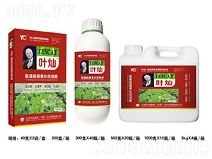 �~���~����~�N�߶��~���-�»����