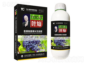 �~�N���ь��ø߶��~���-�»����