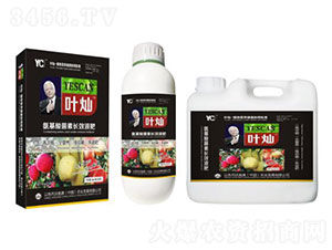 �~�N�O�����挣�ø߶��~���-�»����