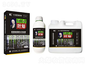 �~�N���ጣ�ø߶��~���-�»����