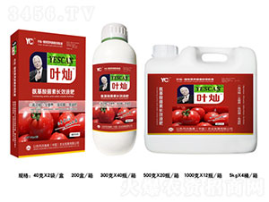 �~�N���ь��ø߶��~���-�»����