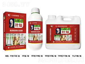 �~�N�[���⌣�ø߶��~���-�»����