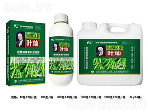 �~�N�󶹌��ø߶��~���-�»����